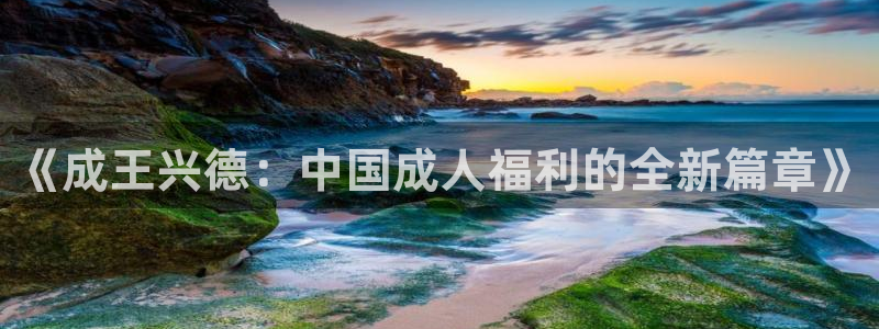 神马午夜飘花影院：《成王兴德：中国成人福利的全新篇章》