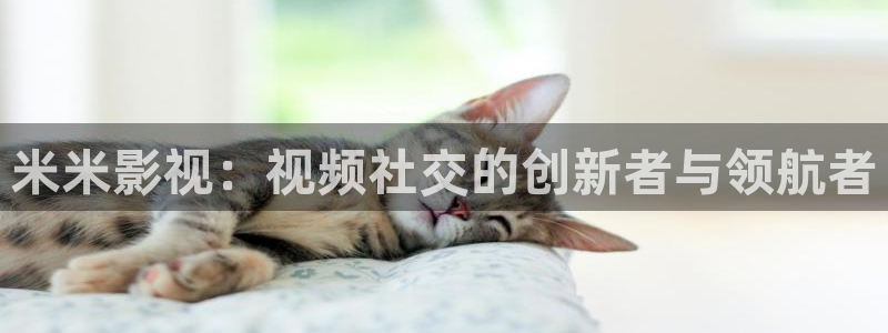 午夜神马影院福利视频：米米影视：视频社交的创新者与领航者