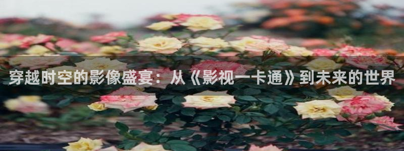 神马影院看看：穿越时空的影像盛宴：从《影视一卡通》到未来的世界