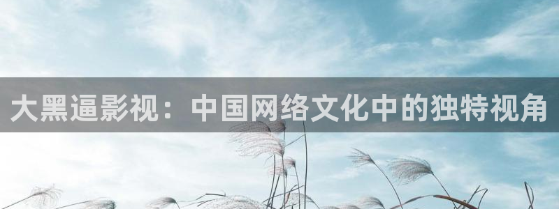 我不卡神马电影院：大黑逼影视：中国网络文化中的独特视角