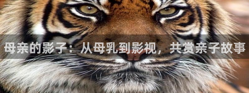 www.神马在线影院：母亲的影子：从母乳到影视，共赏亲子故事