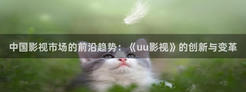 神马神马：中国影视市场的前沿趋势：《uu影视》的创新与变革