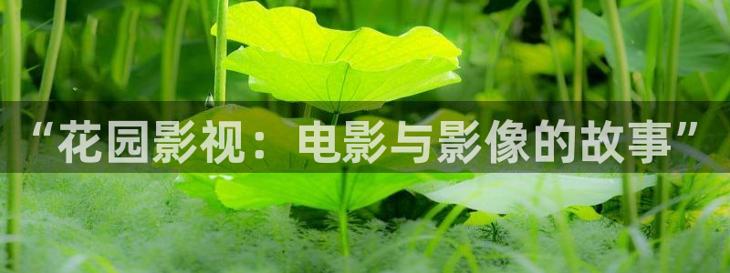 神马影院app：“花园影视：电影与影像的故事”