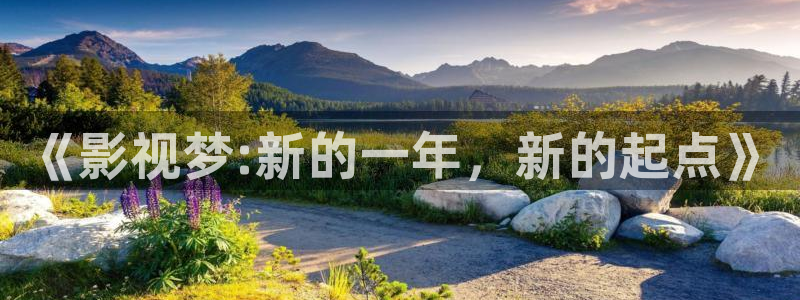 神马影院妻子的情人：《影视梦:新的一年，新的起点》